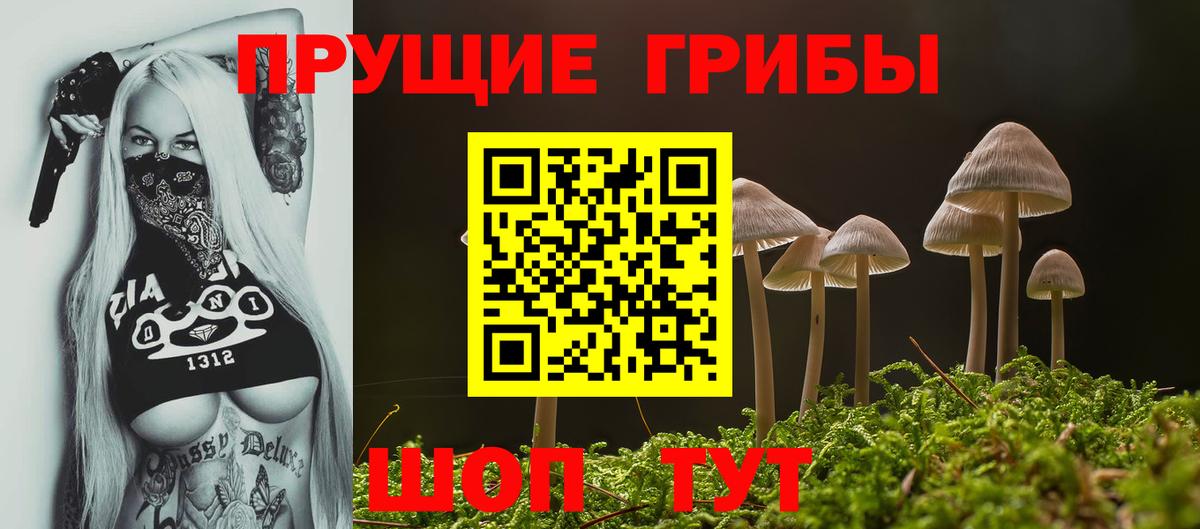 Ливны  Галлюциногенные грибы мухоморы  Вход с VPN 